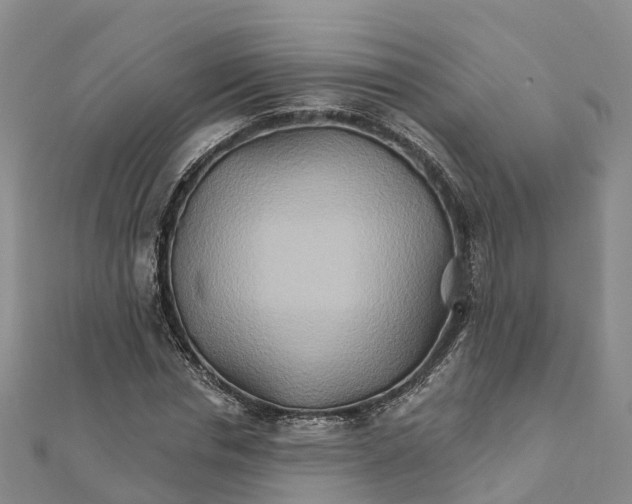 X0000111510826200908111307