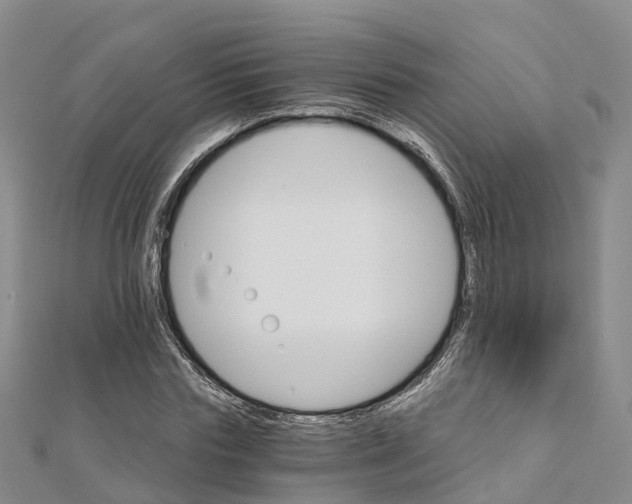 X0000111510827200908111307