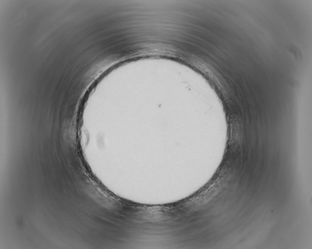 X0000111510828200908111307