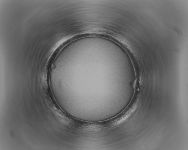 X0000111510830200908111307
