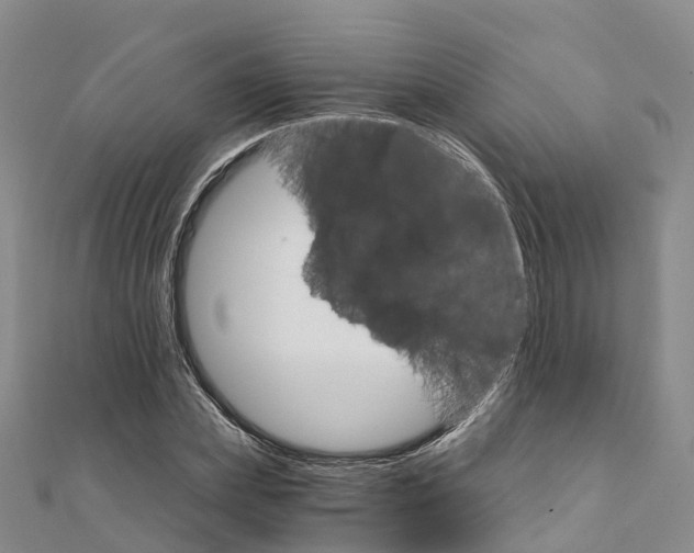 X0000111510831200908111307