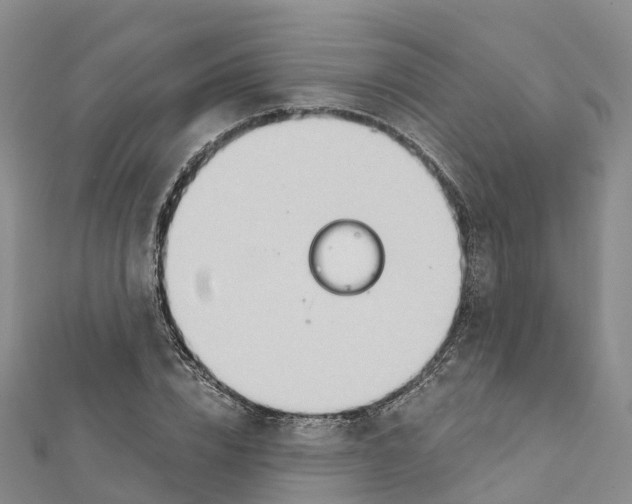 X0000111510832200908111307