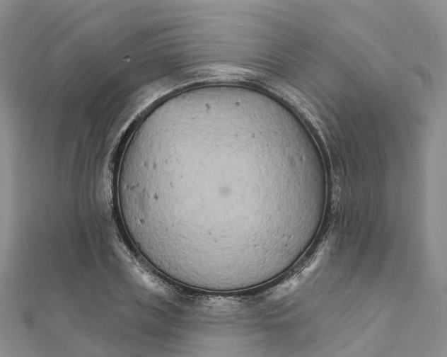 X0000111510835200908111307