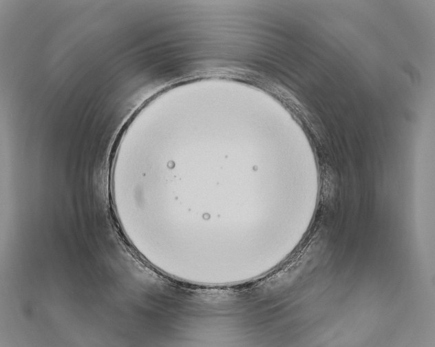 X0000111510836200908111307