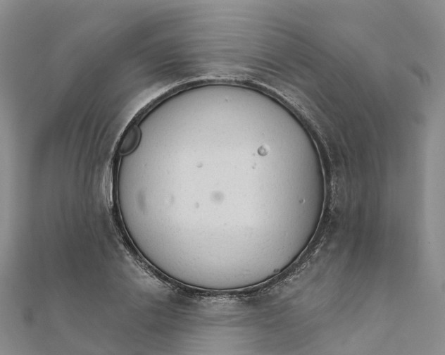 X0000111510838200908111307