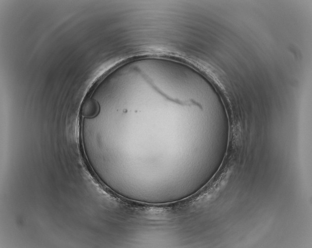 X0000111510839200908111307