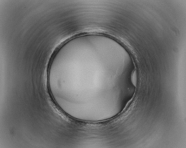 X0000111510840200908111307