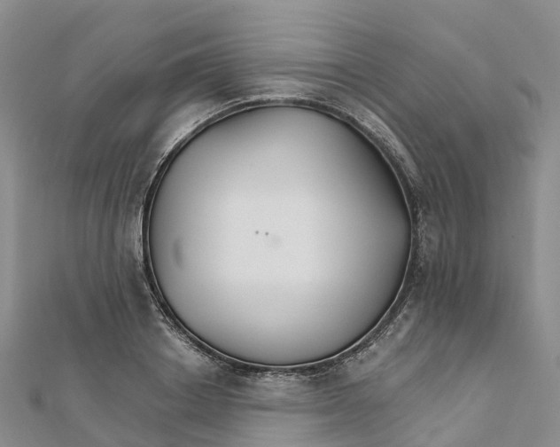 X0000111510842200908111307