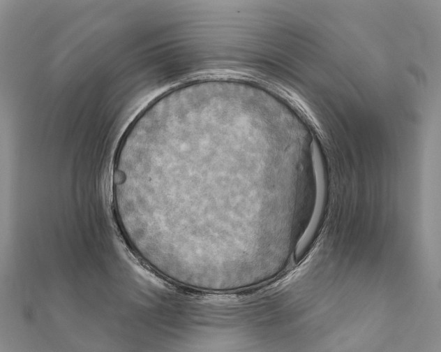 X0000111510844200908111307