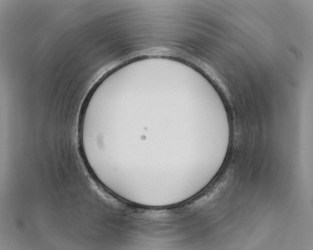 X0000111510845200908111307
