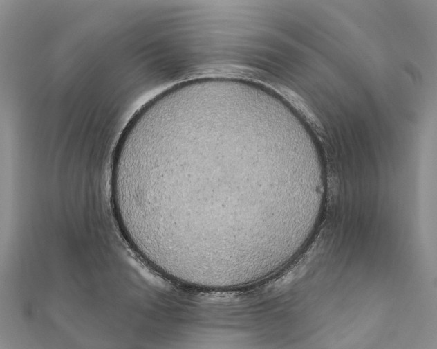 X0000111510846200908111307