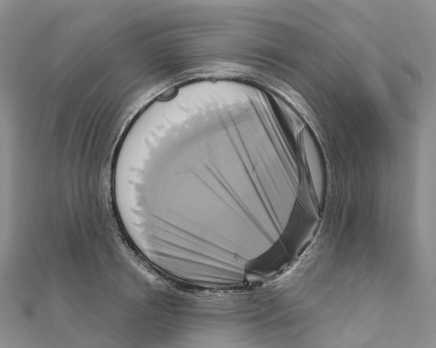 X0000111510850200908111307