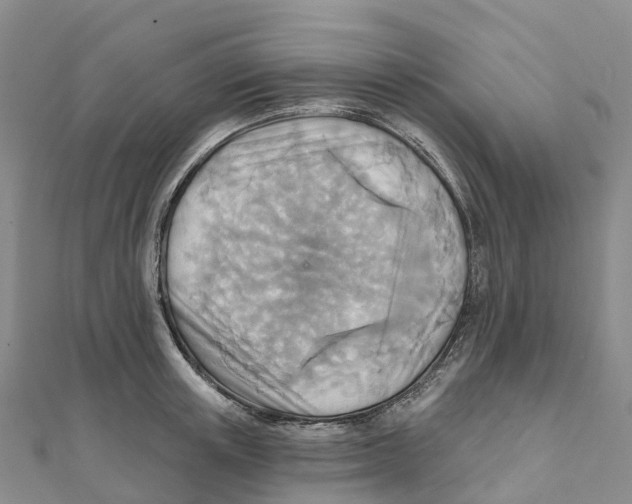X0000111510851200908111307