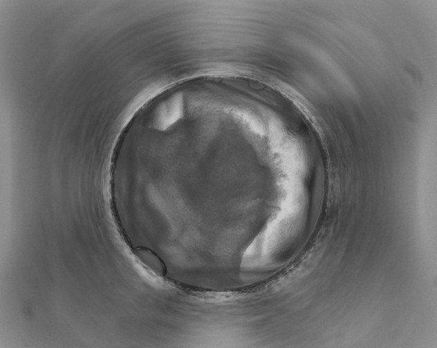 X0000111510853200908111307