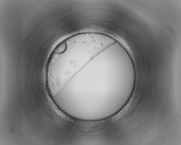 X0000111510854200908111307