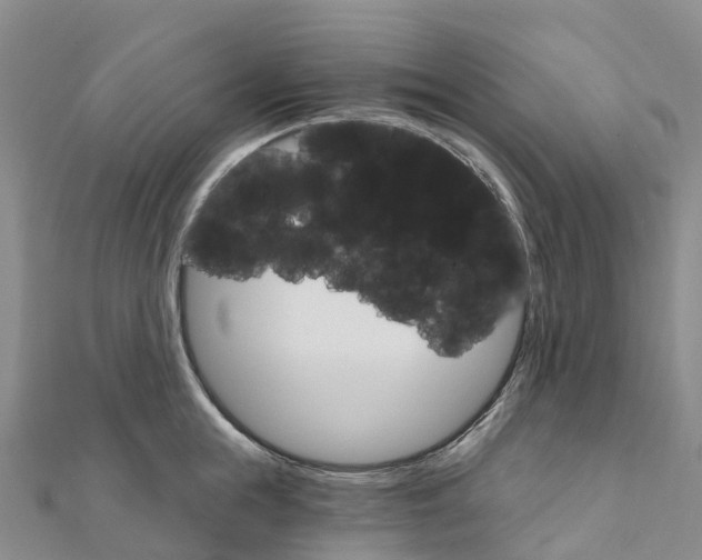X0000111510855200908111307