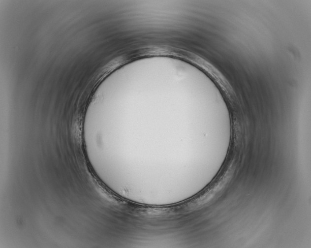 X0000111510857200908111307