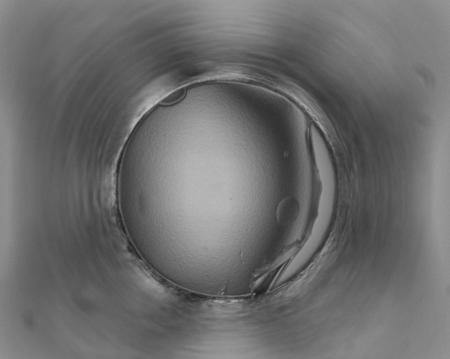 X0000111510858200908111307