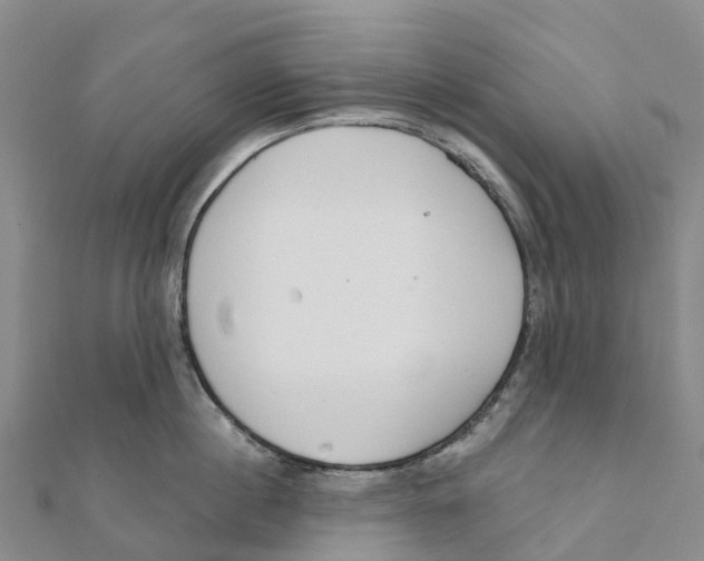 X0000111510860200908111307