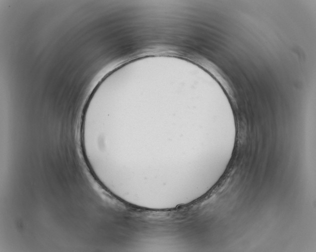X0000111510861200908111307