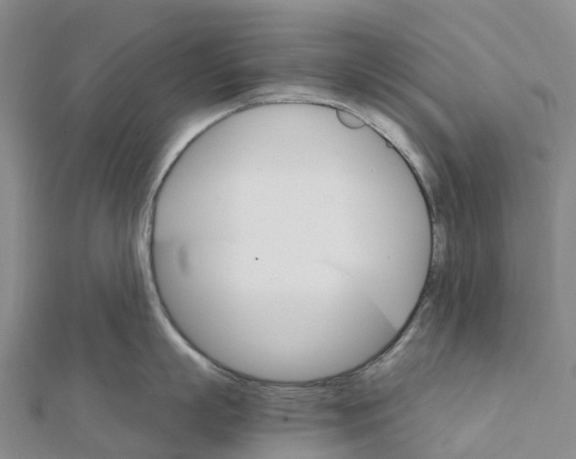 X0000111510863200908111307