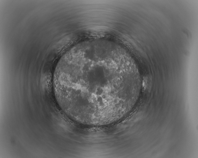 X0000111510867200908111307