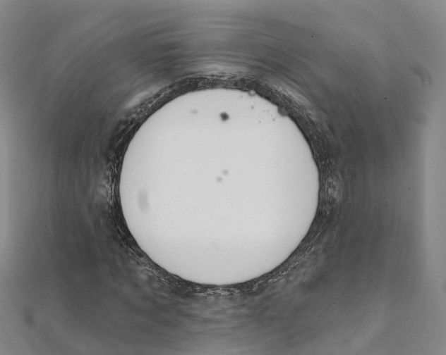 X0000111510869200908111307
