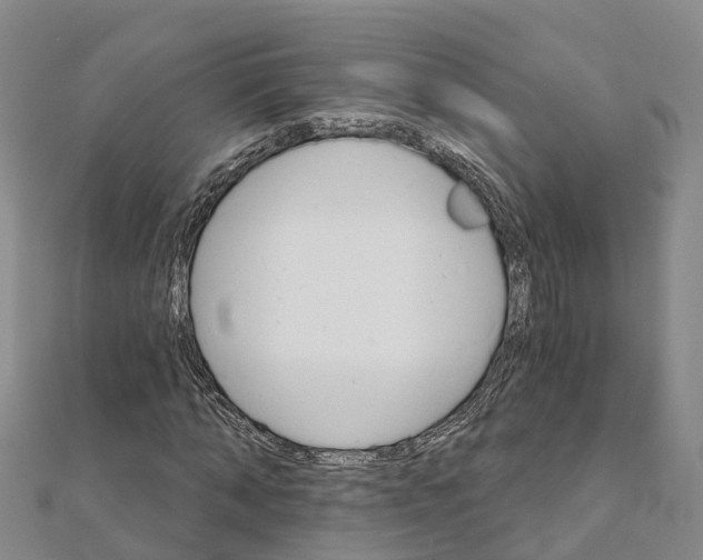 X0000111510870200908111307