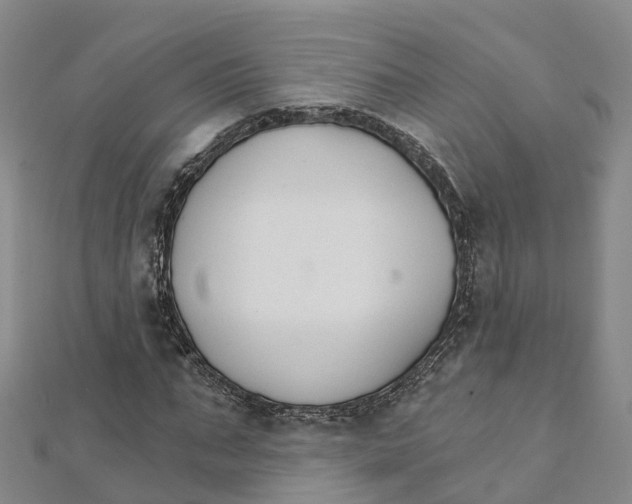 X0000111510871200908111307