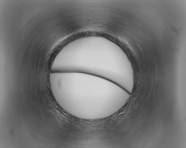 X0000111510872200908111307