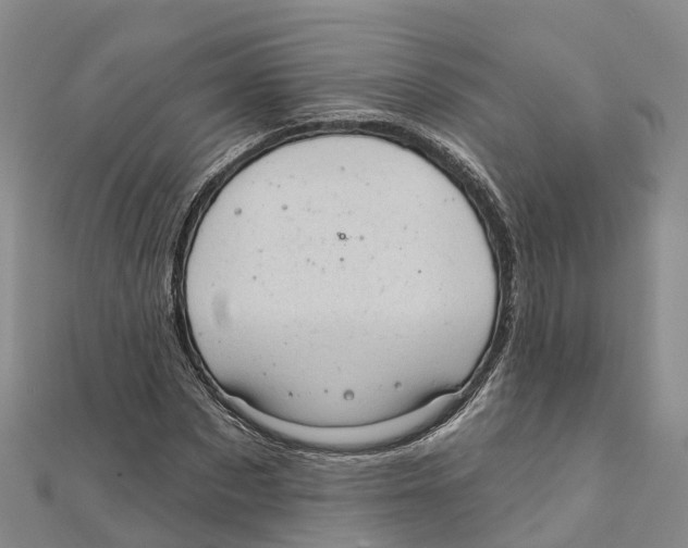 X0000111510873200908111307