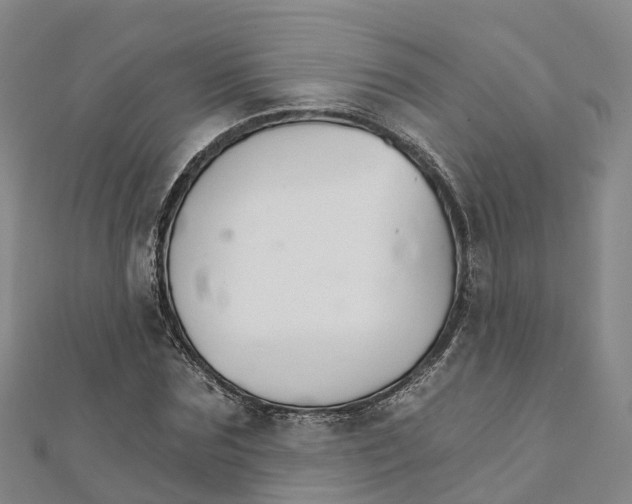 X0000111510875200908111307