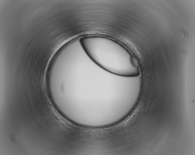 X0000111510876200908111306