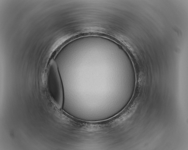 X0000111510877200908111306