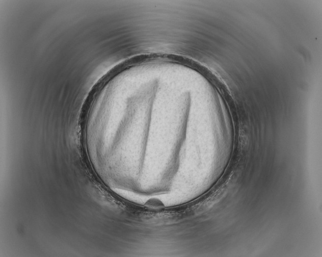 X0000111510879200908111306