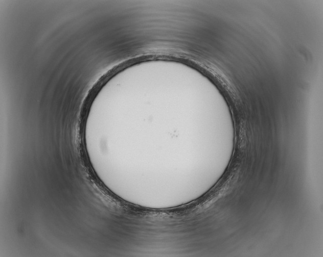 X0000111510880200908111306