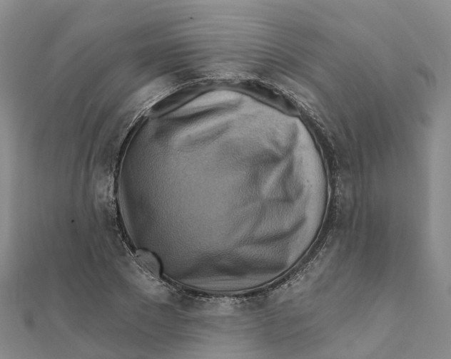 X0000111510881200908111306