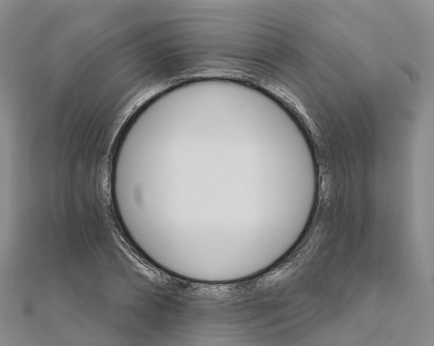 X0000111510882200908111306