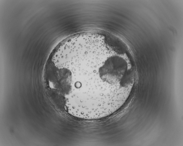 X0000111510883200908111306