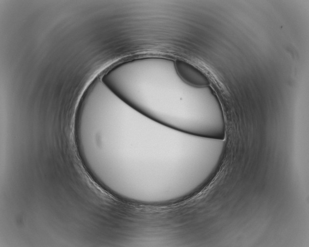 X0000111510884200908111306