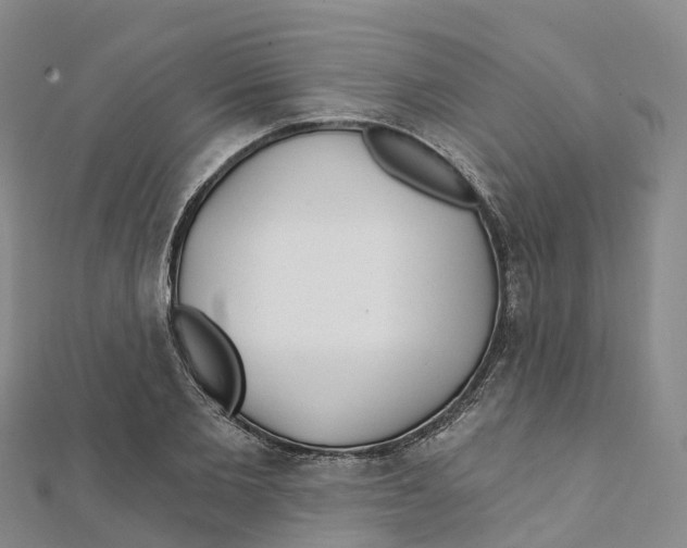 X0000111510885200908111306