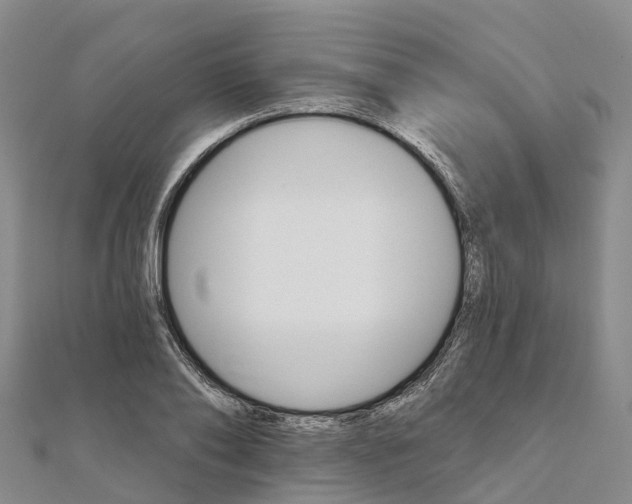 X0000111510886200908111306