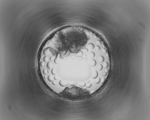 X0000111510887200908111306