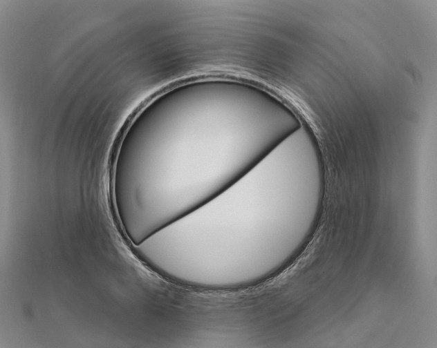 X0000111510888200908111306