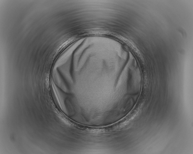 X0000111510889200908111306