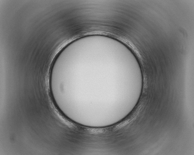 X0000111510890200908111306