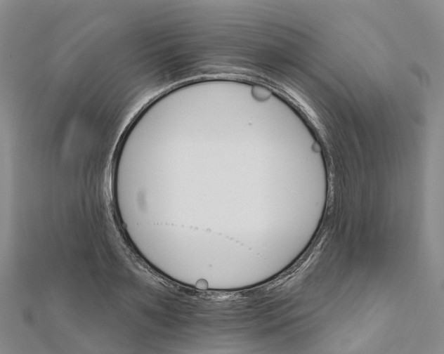X0000111510891200908111306