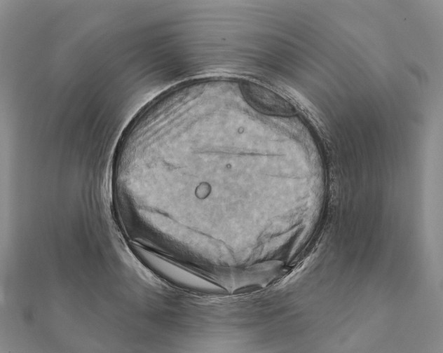 X0000111510892200908111306