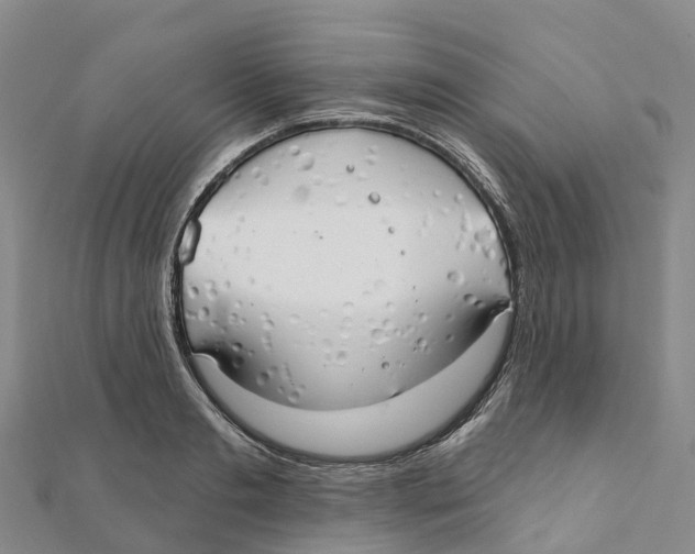 X0000111510893200908111306
