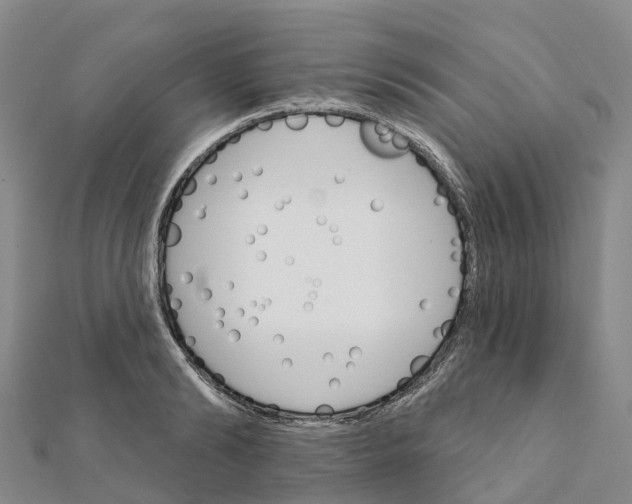 X0000111510894200908111306